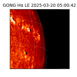 gong - 2025-03-20T05:00:42