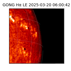 gong - 2025-03-20T06:00:42