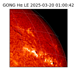 gong - 2025-03-20T01:00:42