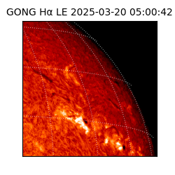 gong - 2025-03-20T05:00:42