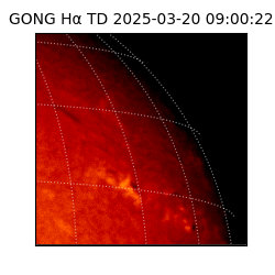 gong - 2025-03-20T09:00:22