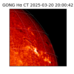 gong - 2025-03-20T20:00:42