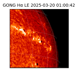 gong - 2025-03-20T01:00:42