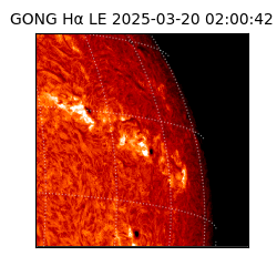 gong - 2025-03-20T02:00:42