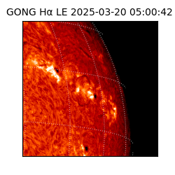 gong - 2025-03-20T05:00:42