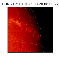 gong - 2025-03-20T08:00:22