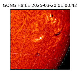 gong - 2025-03-20T01:00:42