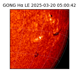 gong - 2025-03-20T05:00:42