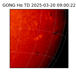 gong - 2025-03-20T09:00:22