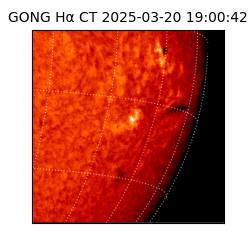 gong - 2025-03-20T19:00:42