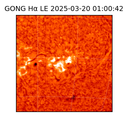 gong - 2025-03-20T01:00:42