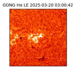 gong - 2025-03-20T03:00:42