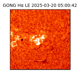 gong - 2025-03-20T05:00:42