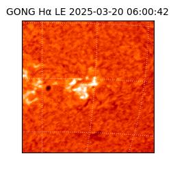 gong - 2025-03-20T06:00:42