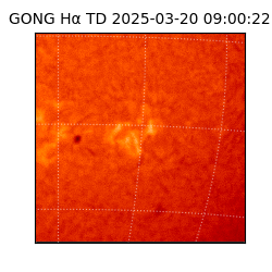 gong - 2025-03-20T09:00:22