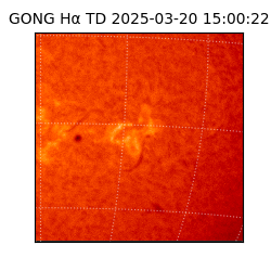 gong - 2025-03-20T15:00:22
