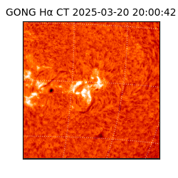 gong - 2025-03-20T20:00:42