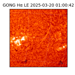 gong - 2025-03-20T01:00:42