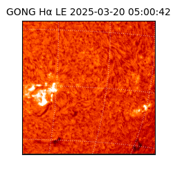 gong - 2025-03-20T05:00:42