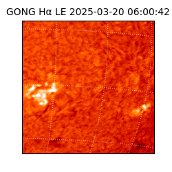 gong - 2025-03-20T06:00:42