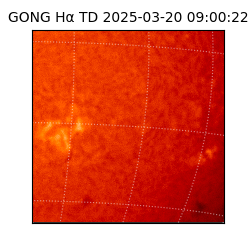 gong - 2025-03-20T09:00:22