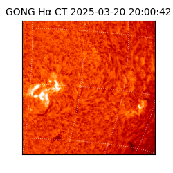 gong - 2025-03-20T20:00:42