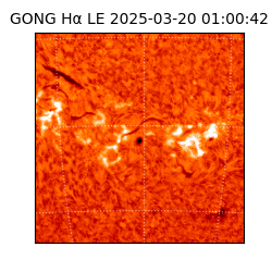 gong - 2025-03-20T01:00:42