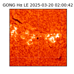 gong - 2025-03-20T02:00:42