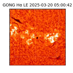 gong - 2025-03-20T05:00:42