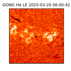 gong - 2025-03-20T06:00:42