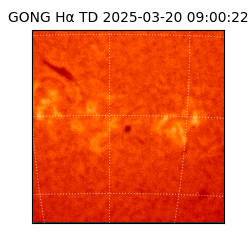 gong - 2025-03-20T09:00:22