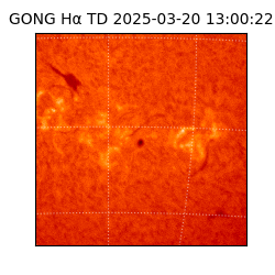 gong - 2025-03-20T13:00:22