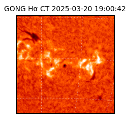gong - 2025-03-20T19:00:42