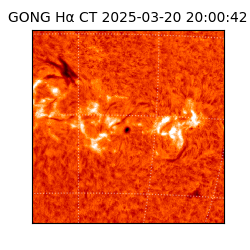 gong - 2025-03-20T20:00:42