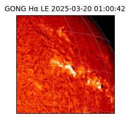 gong - 2025-03-20T01:00:42