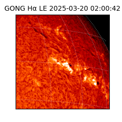 gong - 2025-03-20T02:00:42