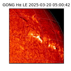 gong - 2025-03-20T05:00:42
