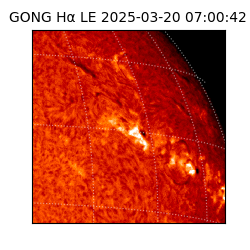 gong - 2025-03-20T07:00:42