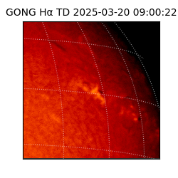 gong - 2025-03-20T09:00:22
