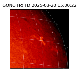 gong - 2025-03-20T15:00:22