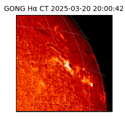gong - 2025-03-20T20:00:42