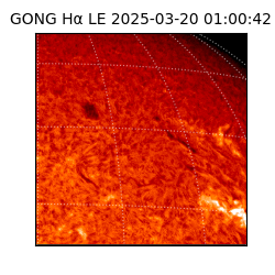 gong - 2025-03-20T01:00:42