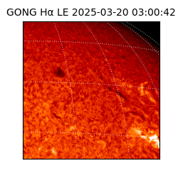 gong - 2025-03-20T03:00:42