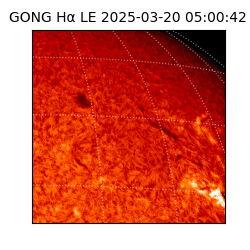 gong - 2025-03-20T05:00:42