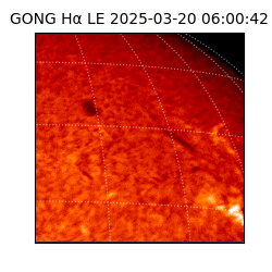 gong - 2025-03-20T06:00:42