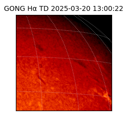 gong - 2025-03-20T13:00:22