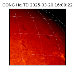gong - 2025-03-20T16:00:22