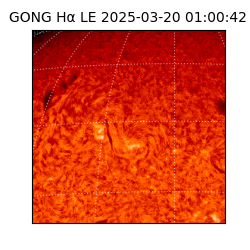 gong - 2025-03-20T01:00:42