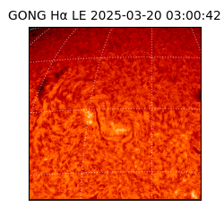 gong - 2025-03-20T03:00:42