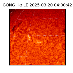 gong - 2025-03-20T04:00:42